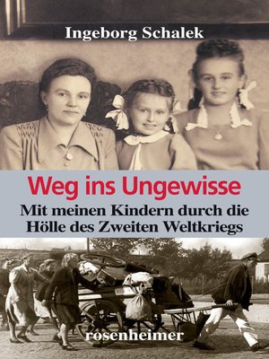 cover image of Weg ins Ungewisse